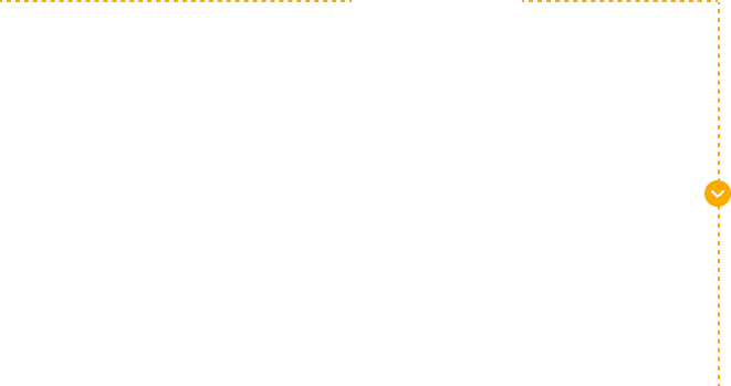 roadmap