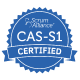 CAS-S1 Accreditation logo 3