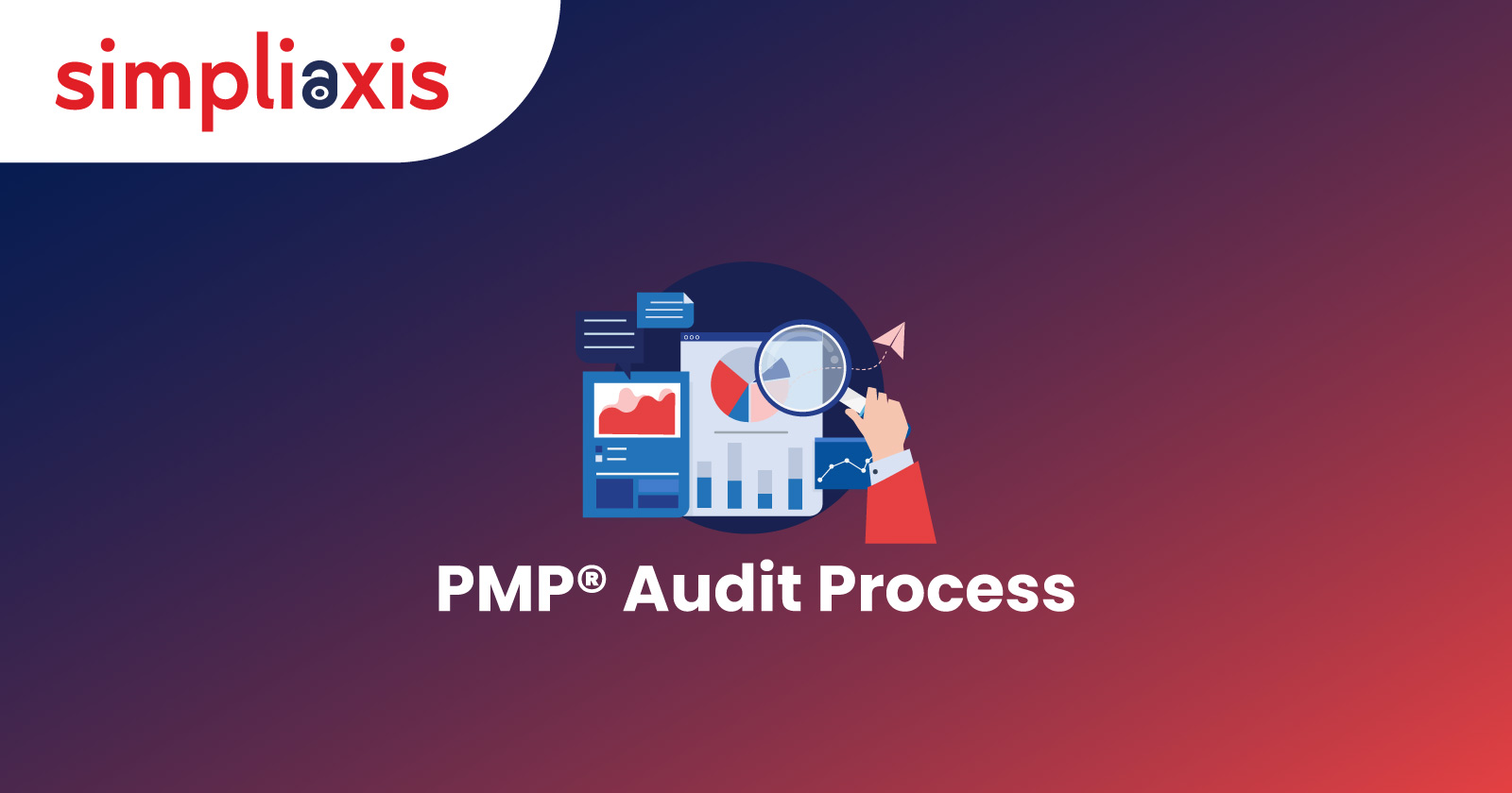 PMP Audit Process