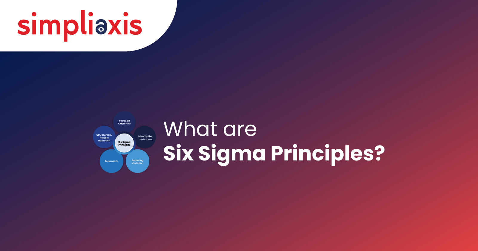 What are Six Sigma Principles?