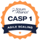 Certified Agile Scaling Practitioner 1 (CASP 1)