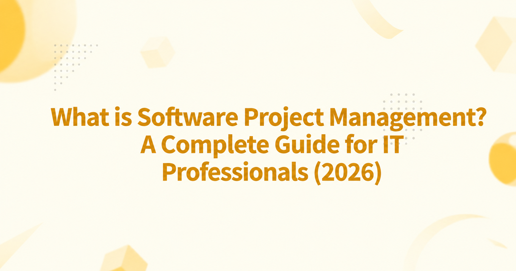 What is Software Project Management